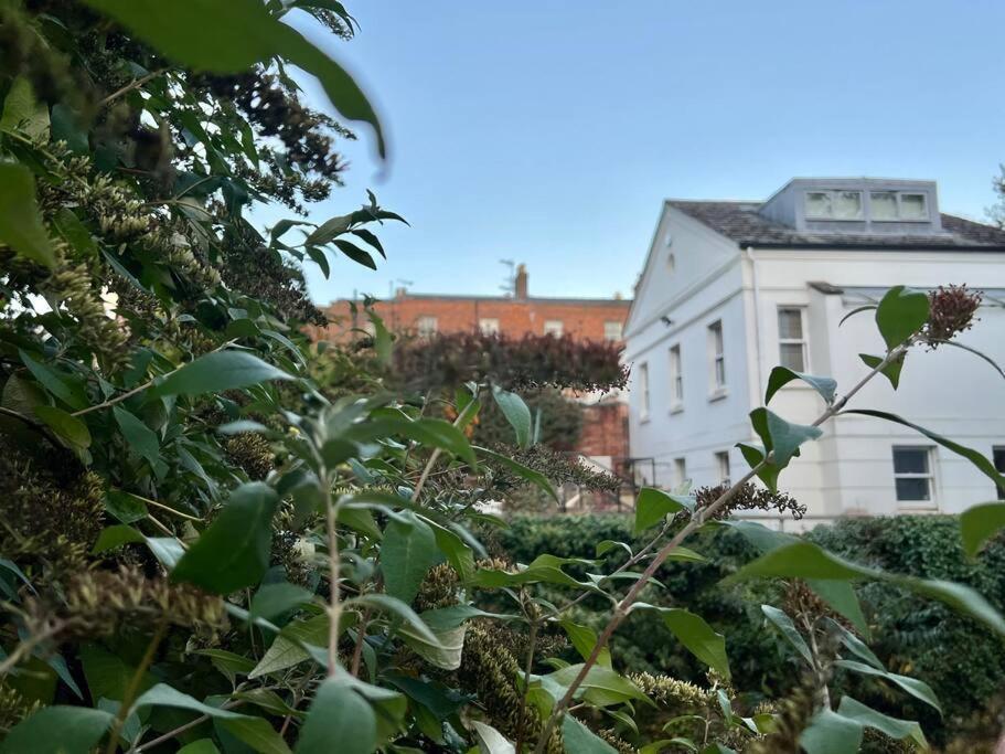 Vernon Place Town Centre, Vernon 3-bed With Parking, 1a Vernon Court 2-bed With Parking, 1b No Parking, Off The High Street Next To Sandford Park Holiday home